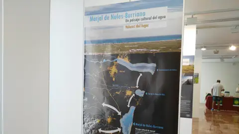 MARJAL NULES MARJAL NULES