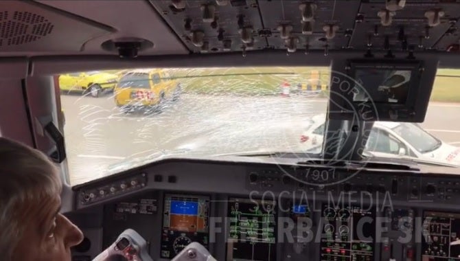 El avión del Fenerbahçe aterriza de emergencia al romper un ave un cristal El avión del Fenerbahçe aterriza de emergencia al romper un ave un cristal