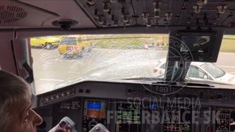Imagen del cristal del avi&oacute;n tras el impacto del ave