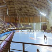 Balonmano Naturhouse Ciudad de Logroño