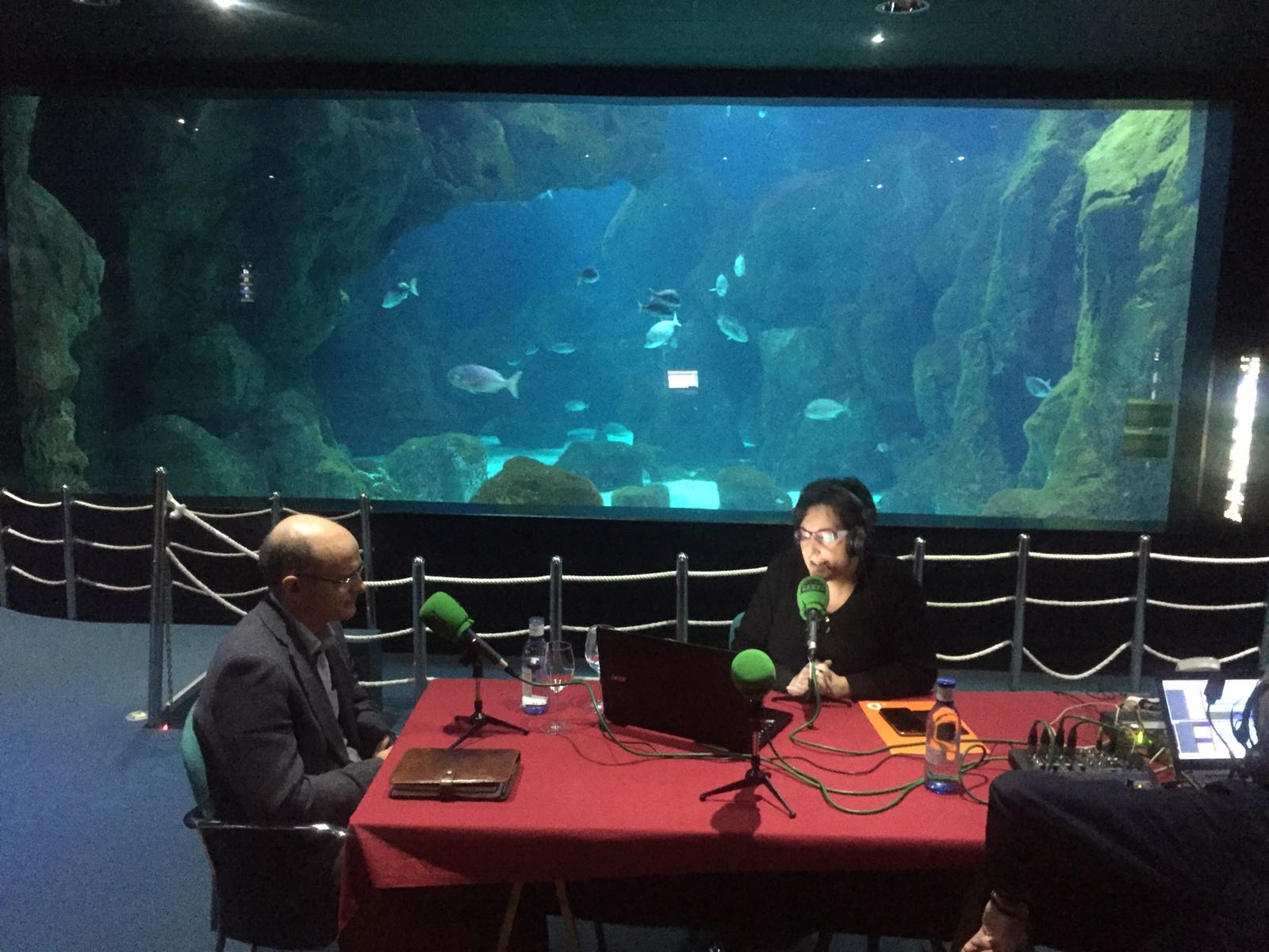 Asturias en la Onda 20/10/2016 con Ana Fierro Asturias en la Onda 20/10/2016 con Ana Fierro