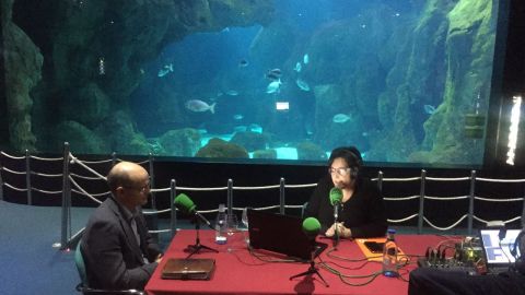 Programa desde el Acuario de Gij&oacute;n