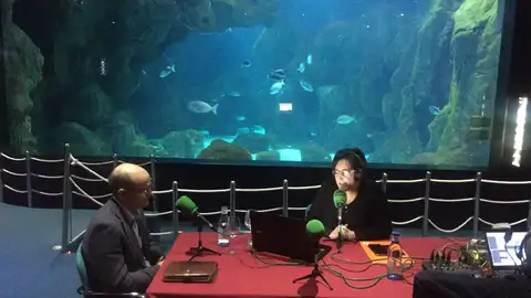 Programa desde el Acuario de Gijón Programa desde el Acuario de Gijón