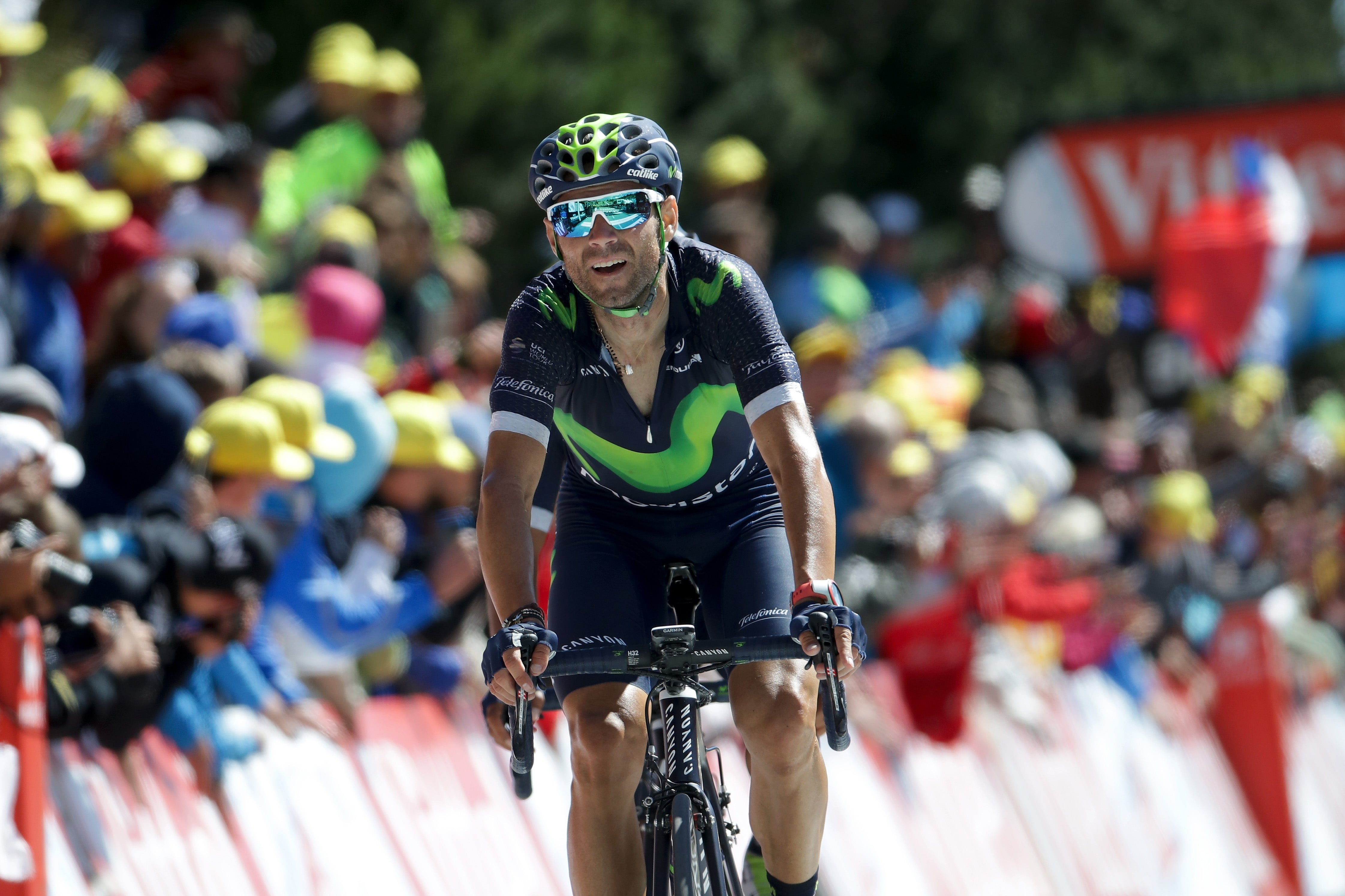 Valverde renueva con el Movistar hasta 2019 Valverde renueva con el Movistar hasta 2019