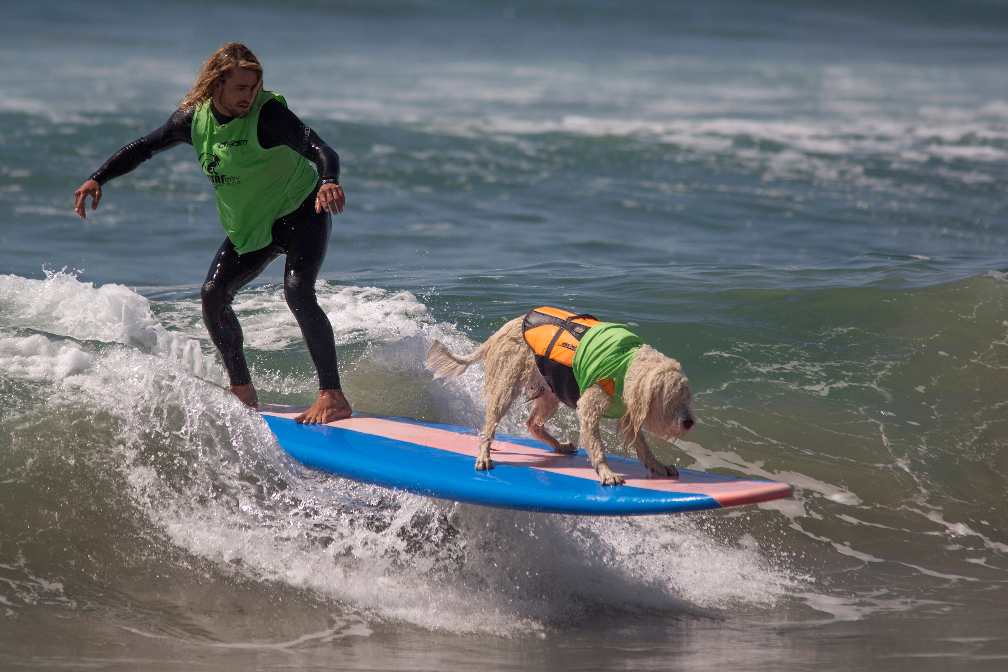 Actividades "mascoteras" para ir con tu peludo Actividades "mascoteras" para ir con tu peludo