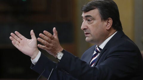 Aitor Esteban en el Congreso