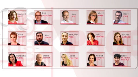 Los 15 diputados d&iacute;scolos del PSOE que han roto la disciplina de voto