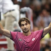 David Ferrer, tras ganar a Troicki en Viena David Ferrer, tras ganar a Troicki en Viena