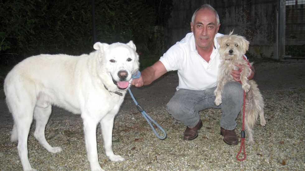 Un hombre y su perro son rescatados tras caer a un pozo Un hombre y su perro son rescatados tras caer a un pozo