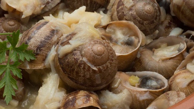 El PSOE muestra su malestar por la eliminación del concurso de caracoles en la romería de San Marcos El PSOE muestra su malestar por la eliminación del concurso de caracoles en la romería de San Marcos