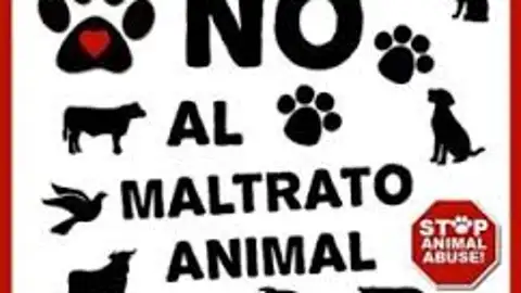 No No
