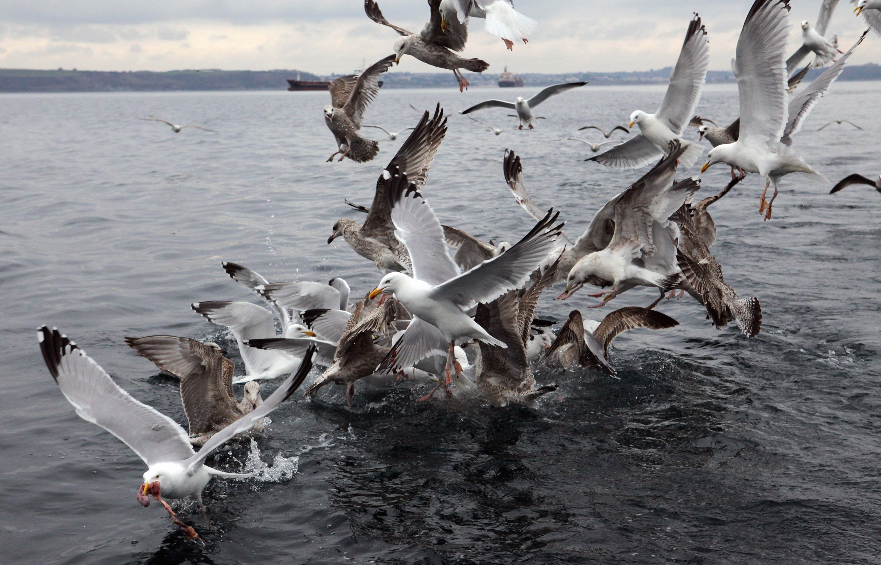 Los escolares de Arrecife de excursión para avistar aves Los escolares de Arrecife de excursión para avistar aves