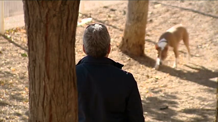 Tarragona contrata detectives para multar a dueños que no recogen los excrementos de sus mascotas Tarragona contrata detectives para multar a dueños que no recogen los excrementos de sus mascotas