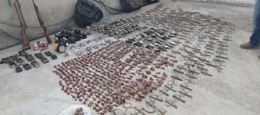 Tres detenidos por capturar 836 aves fringílidas para venderlas como "pajaritos fritos" Tres detenidos por capturar 836 aves fringílidas para venderlas como "pajaritos fritos"