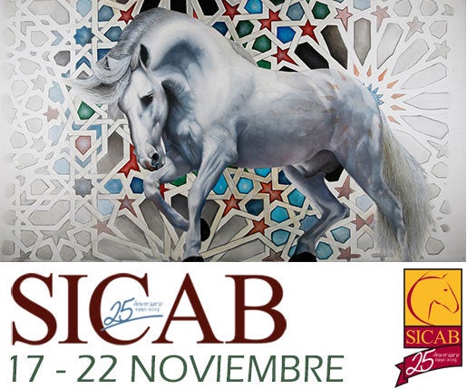 Sevilla en la Onda / 17 de Noviembre de 2016. Sevilla en la Onda / 17 de Noviembre de 2016.