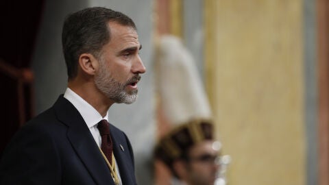 El rey Felipe VI en el Congreso