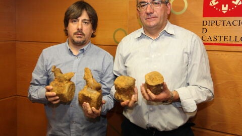 Ambos yacimientos fueron localizados en 2002 y se han excavado este a&ntilde;o con el apoyo del Ayuntamiento de Portell y el &Aacute;rea de Cristalograf&iacute;a y Mineralog&iacute;a del Departamento de Ciencias Agrarias y del Medio Natural de la Universitat Jaume I Castell&oacute;.