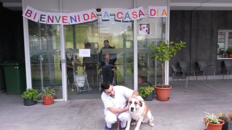 La Residencia Dolores Soria recibe a su mascota, la mastina 'Día' La Residencia Dolores Soria recibe a su mascota, la mastina 'Día'