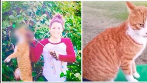 Kristen Lindsey, veterinaria que mat&oacute; a un gato con una flecha