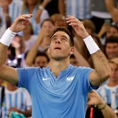 Del Potro celebrando su triunfo en la Copa Davis Del Potro celebrando su triunfo en la Copa Davis
