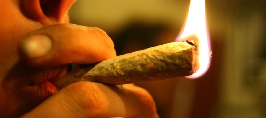 Consumidor de cannabis Consumidor de cannabis