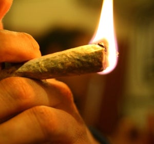 Consumidor de cannabis Consumidor de cannabis