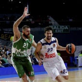 Sergio Llull, en un partido de la Euroliga