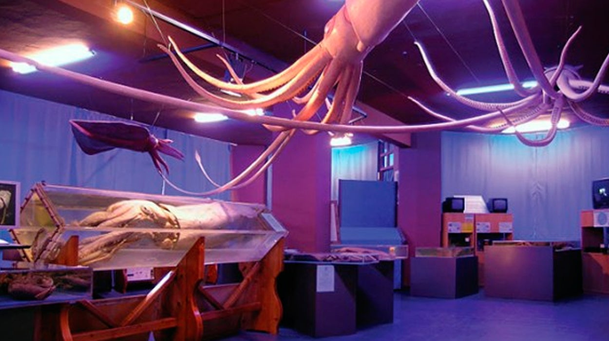 El Museo del Calamar, de la Garrapata y otros increíbles lugares que han visitado los oyentes El Museo del Calamar, de la Garrapata y otros increíbles lugares que han visitado los oyentes