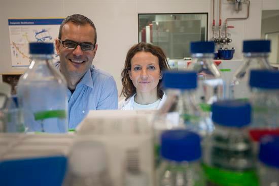 Descubren que las células tumorales necesitan grasa para expandirse y hacer metástasis Descubren que las células tumorales necesitan grasa para expandirse y hacer metástasis