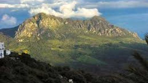 Sierra Crestellina