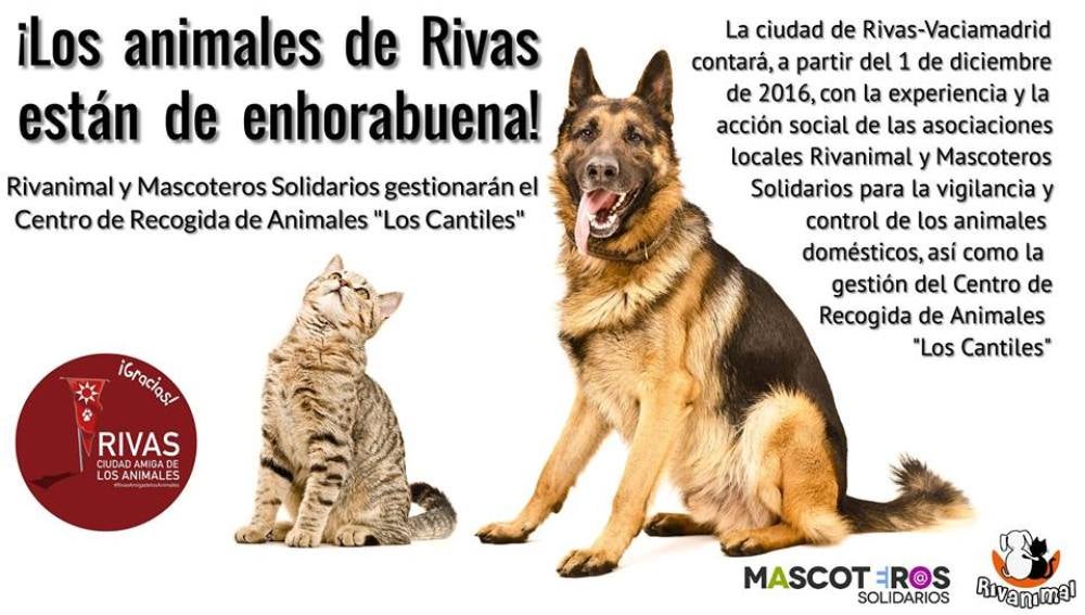 Rivanimal y Mascoteros Solidarios gestionan los animales domésticos de Rivas