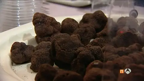 Frame 84.723009 de: trufas Frame 84.723009 de: trufas