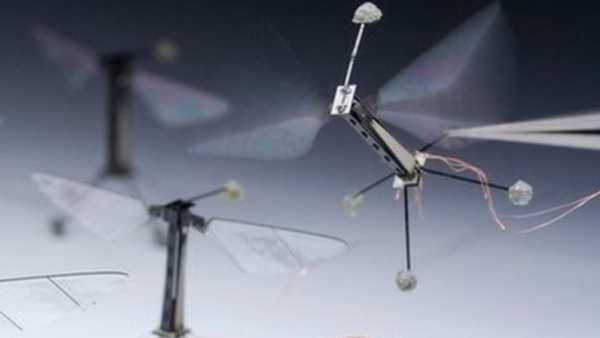 Mago More: La primera abeja robótica que poliniza de verdad Mago More: La primera abeja robótica que poliniza de verdad