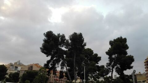 Predicci&oacute;n Meteorol&oacute;gica