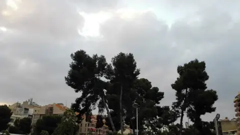 Vista del cielo en Elche desde la Pasarela del Mercado. Predicción Meteorológica