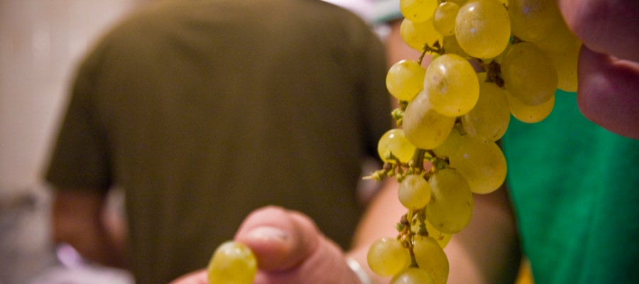Uvas para Nochevieja Uvas para Nochevieja