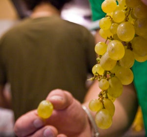 Uvas para Nochevieja Uvas para Nochevieja