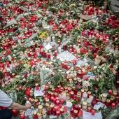 En recuerdo de las víctimas del terrorismo (23-12-2016)