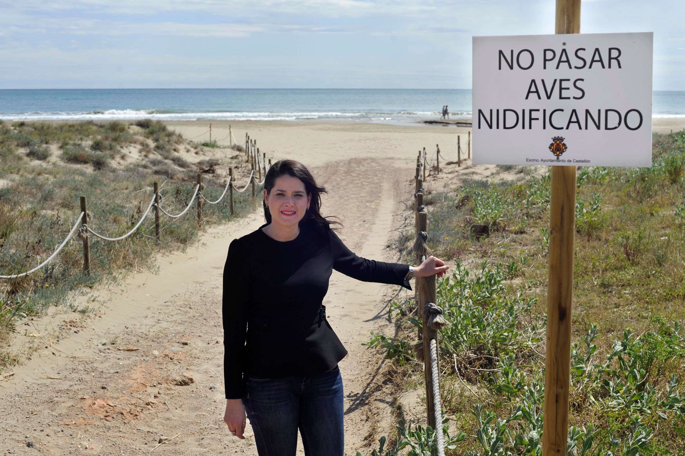 Sostenibilidad valla las dunas de la playa del Serradal para proteger el Chorlitejo patinegro Sostenibilidad valla las dunas de la playa del Serradal para proteger el Chorlitejo patinegro