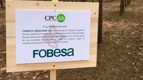 PROYECTO HOCES CABRIEL
