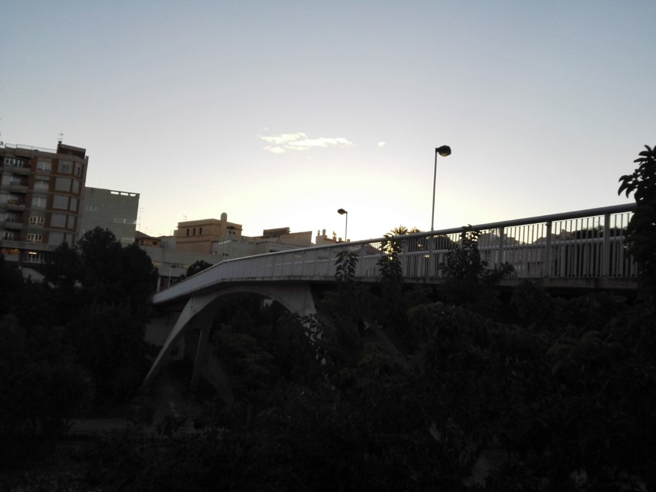 El sol continúa reinando en este inicio de año en el Baix Vinalopó El sol continúa reinando en este inicio de año en el Baix Vinalopó