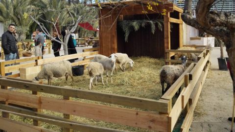 Bel&eacute;n viviente