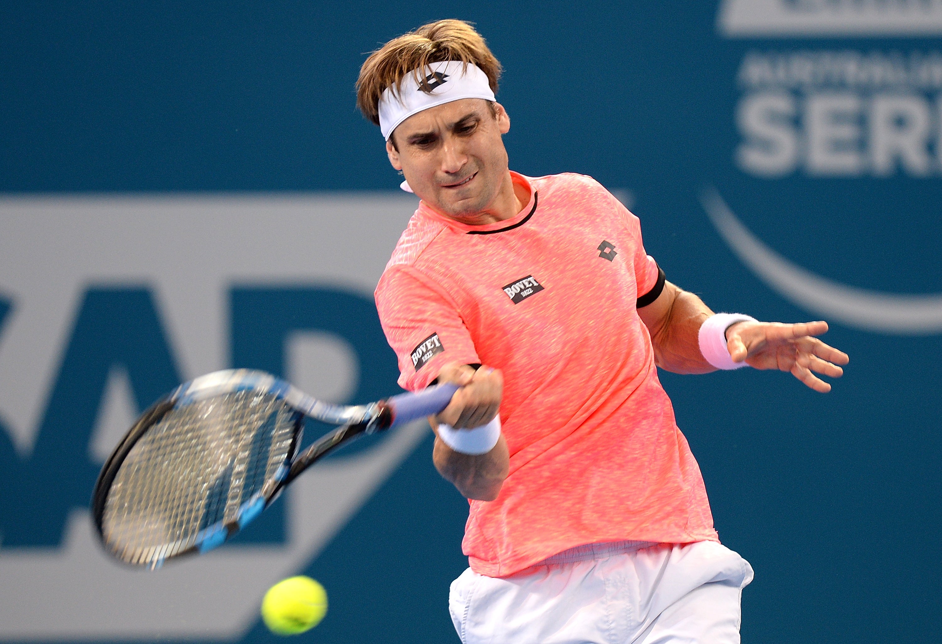 Ferrer cae en octavos de Brisbane ante el australiano Thompson Ferrer cae en octavos de Brisbane ante el australiano Thompson