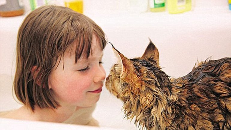 Les claus del diagnòstic de l'autisme Les claus del diagnòstic de l'autisme