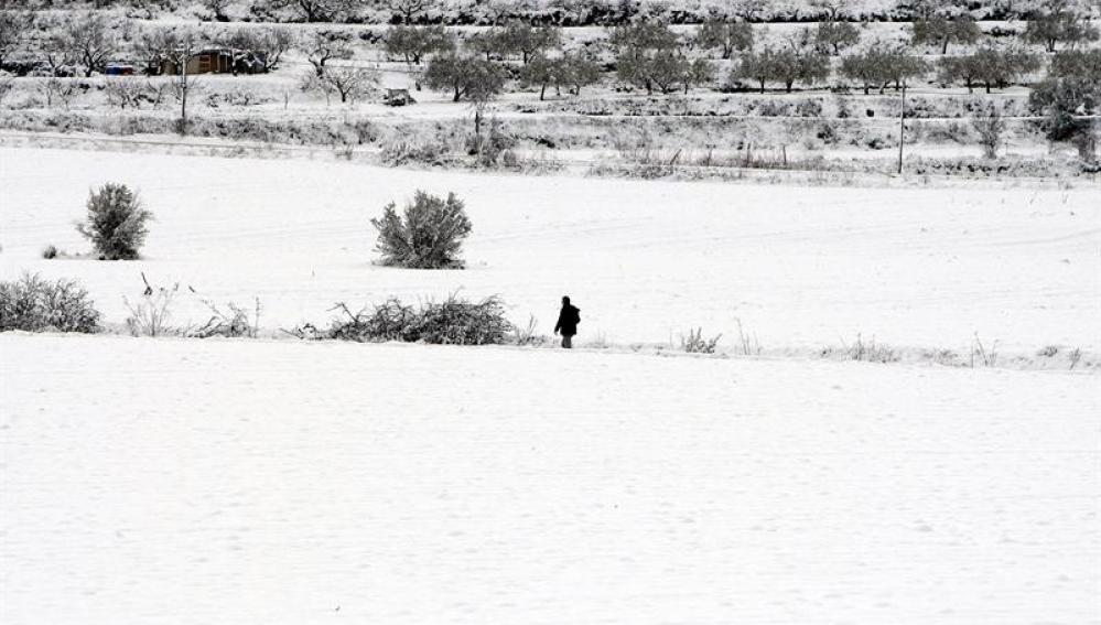 Un hombre camina por la nieve en el municipio de Benassau (Alicante)