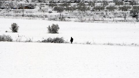 Un hombre camina por la nieve en el municipio de Benassau (Alicante)