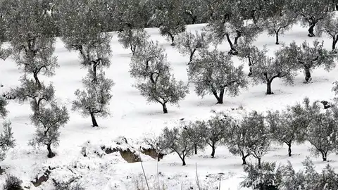 Benassau (Alicante) Benassau (Alicante)