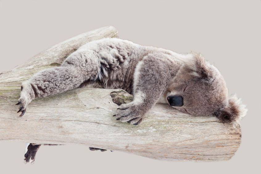 Vol. 108 Especial Dormir Vol. 108 Especial Dormir