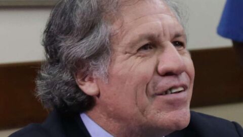 El secretario general de la Organizaci&oacute;n de Estados Americanos (OEA), Luis Almagro