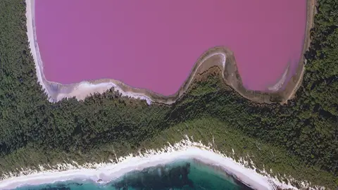 El lago rosa australiano El lago rosa australiano